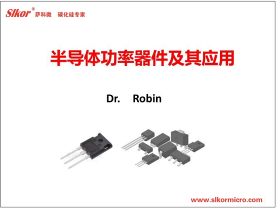 罗坪博士培训课件（一）